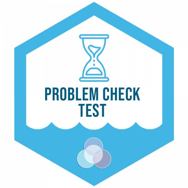 Problem Check Test